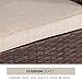 Solaura Outdoor Furniture Brown Wicker Patio Sofa (Seats 3) Light Brown Cushions & Classic Gold Stripe Throw Pillows