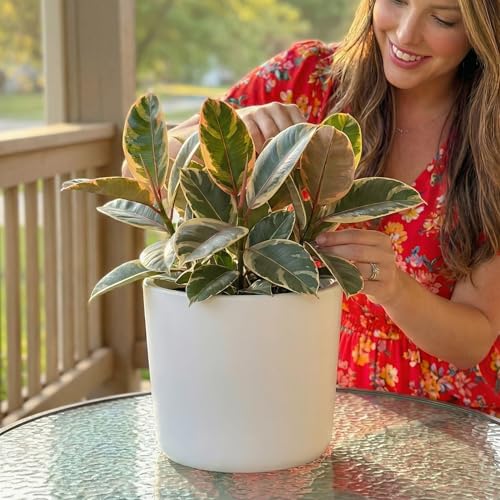Willowy Matte White Ceramic Planter Drainage