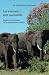 Les animaux sont ma famille (French Edition) by Dr Astrid Clavé-Letourneur