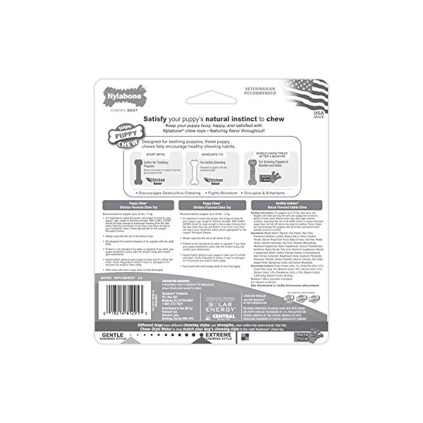 Nylabone Puppy Starter Kit, 3 Dental Dog Chew Bones, 1 Edible, 1 Gentle, 1 Extreme, for Small Breeds Puppies Up to 11 kg…