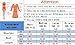 YouSun Women's Casual Chic Blouse Short Sleeve Round Neck Dovetail Hem T-Shirt