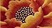 Luk Oil Sunflower Round Rug Mats Flowers Round Rugs Yellow Flowers Round the Bedroom Carpet 35.43-inch By 35.43-inch (Orange)
