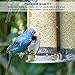 EasyGo Product White Millet Wild Bird Food – 50 lb