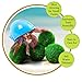 Luffy 6 Hermit Balls - Bright, Green, All Natural Aquatic Plants - Round 0.6” Nano Marimo Moss by SunGrow - for Freshwater and Saltwater Aquarium - Maintain Humidity - Supplement Hermit Crab Diets