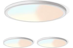 LZHOME 2Pack Led Ceiling Light, 42W 4500LM Ultra-Thin Surface Mount Light Fixtures, 15.8 Inch 3000K/4500K/6000K 3CCT Selectable Flush Mount Ceiling Light for Living Room, Bedroom, Kitchen……