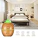 Housmile 300 Milliliter Smallest Essential Oil Diffusers Ultrasonic Aroma Cool Mist Humidifiers with 7 Color LED and Auto Shut-off for Office Spa Living Room Bedroom
