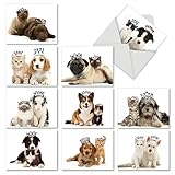 10 Assorted Thank You Cards Featuring Cats and Dogs Wearing Crowns with Envelopes - ‘Copy Cats’ Greeting Card Set for All Occasions (4 x 5.12 Inch) M6596TYG