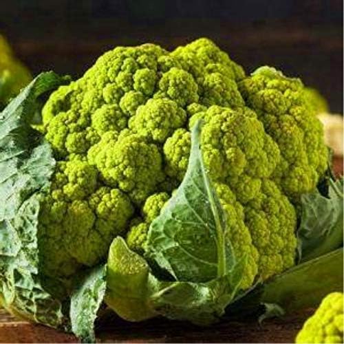 Agrobits 100pcs Sac Bonsai Usine De Chou Fleur Chou Fleur