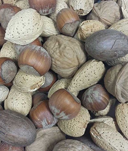 Mixed Nuts - No Brazils - In Shell - 25 lb.