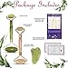 Chic Radiance 3-in-1 Facial Roller and Gua Sha Kit – Jade and Rose Quartz Massager Stones – Best Massage Rollers – Anti-Aging Tools for Puffiness, Dark Circles, Wrinklesthumb 1