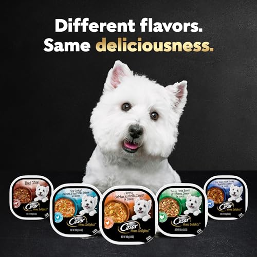 CESAR HOME DELIGHTS ADULT WET DOG FOOD, POT ROAST WITH SPRING VEGETABLES, BEEF STEW, TURKEY, GREEN BEANS, & POTATOES, AND HEARTY CHICKEN & NOODLE VARIETY PACK, 3.5 OZ. (24 COUNT, PACK OF 1)