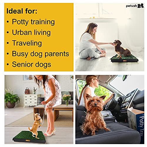 pet time grand dog toilet