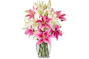 From You Flowers - Stunning Pink and White Lilies with Glass Vase | Fresh Flower Bouquets for Birthday, Anniversary, Get Well or Celebration