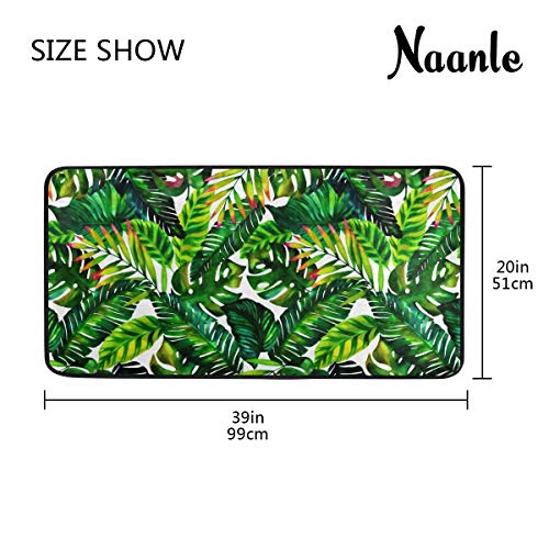 51QLjbdyfML 51QLjbdyfML