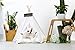 little dove Pet Teepee Dog(Puppy) & Cat Bed - Portable Pet Tents & Houses for Dog(Puppy) & Cat Lace Style 24 Inch with Thick Cushion
