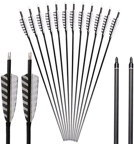 Kunzite 32 Inches Carbon Arrows with 4-Inch Feather Fletching Replaceable Points Hunting Arrows Targeting/hunting Arrows Spine 450 for Recurve Bow Longbow Hunting Bow