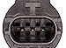 Wells SU7825 Engine Crankshaft Position Sensor