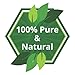 Hibiscus Oil (Hibiscus Sabdariffa L) Therapeutic Essential Oil by Salvia Amber Bottle 100% Natural Uncut Undiluted Pure Cold Pressed Aromatherapy Premium Oil 15ML