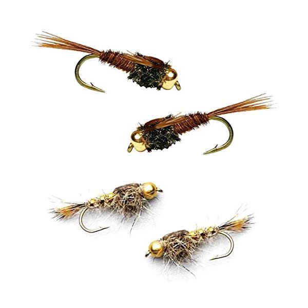 Go-to-Trout-Fly-Fishing-Nymph-Assortment-12-Flies Go-to-Trout-Fly-Fishing-Nymph-Assortment-12-Flies