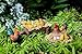 PRETMANNS Fairy Garden Fairies Accessories – Miniature Gnome & Farm Animals – 6 Piece Set – Part of The Fairy Farm Collection