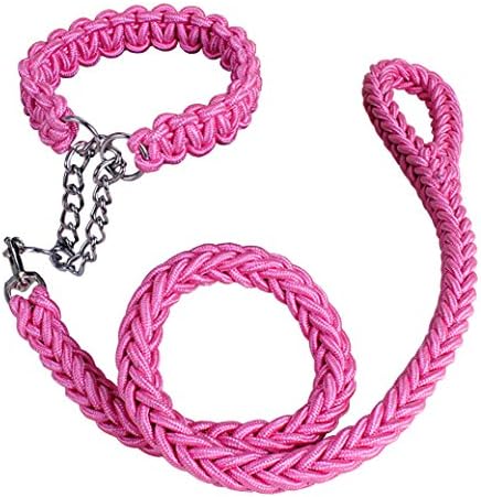AooToo Pet Adjustable Nylon Dog Rope Slip Training Walking Leash And Pet Collar And Traction Rope Solid Hardware Best for Medium Or Large Dogs(Pink, L)