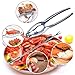 Seafood Tools Set, Alotpower 8 Forks/Picks and 6 Lobster Crab Crackers Opener Nut Cracker