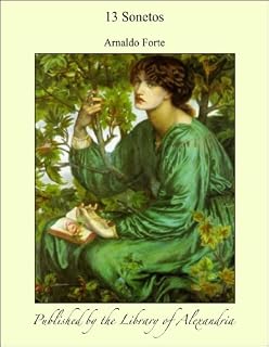 Livro 13 Sonetos