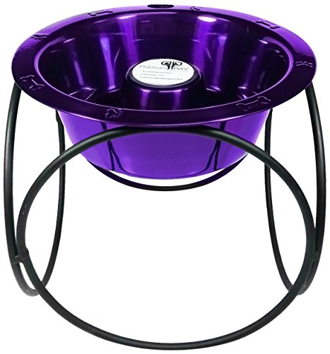 Platinum Pets Slow Eating Single Olympic Diner Feeder with Stainless Steel Dog Bowl, Electric Purple
