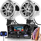 gohawk motorcycle radio