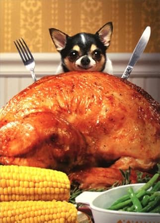 battery for petsafe collar