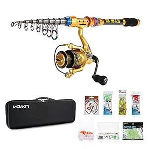 Lixada Kit De Pêche Reel Combos Spinning Rod Et Complet Télescopique Pôle Canne à Pêche Avec Bobine Ligne Leurres Crochets