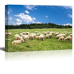 Canvas Prints Wall Art - A Lot of Sheep on The Beautiful Green Meadow Under Blue Sunny Sky | Modern Wall Decor/Home Art Stretched Gallery Canvas Wrap Giclee Print & Ready to Hang - 12" x 18"