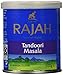 Rajah Tandoori Masala 100g - (Pack of 2)