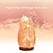 PULNDA Himalayan Salt Lamp PULNDA Glow Natural Hand Carved Rock Salt Lamp with Neem Wood Base/Bulb and Dimmer Control, Crystal, Amber, 8-9-Inch for Lighting, Decoration and Air Purifying