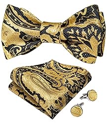 DiBanGu Gold Bow Ties for Men Self Tie Bow Tie and