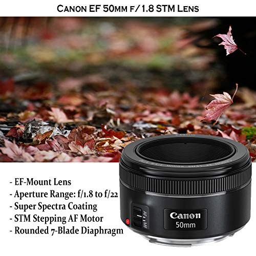 Canon Ef 75 300mm F 4 5 6 Iii Canon Ef 50mm F 1 8 Stm Lens