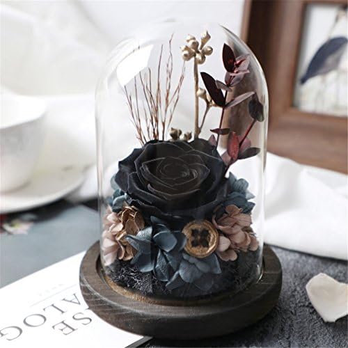Beauty And The Beast Rose, Live Forever Rose in Glass, Live Enchanted Rose, Preserved Rose %100 Natural