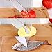 Onion Holder With Finger Guard Made of Stainless Steel By IDEAMAZE