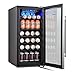 Phiestina 24 Inch Beverage Cooler Refrigerator - 175 Can Built-in or Free Standing Beverage Fridge with Glass Door for Soda Beer or Wine - Drink Fridge For Home Bar or Office (106 cans, Clear)