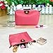 Bestrice iConic-Frame Pouch-Cosmetics Case Makeup Bag Travel Accessory Organizer (Pink)