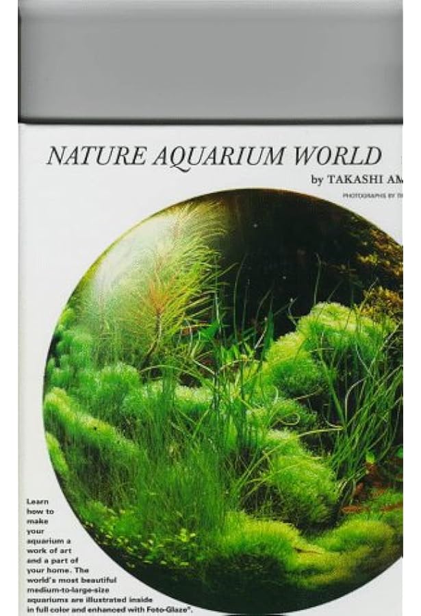 Nature Aquarium World: How You Can Make A Most Beautiful Aquarium