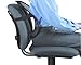 Fellowes Office Suites Mesh Back Support (8036501)