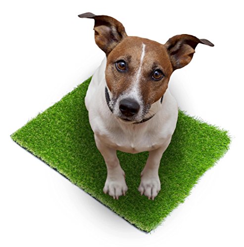 SavvyGrow Artificial Grass for Dogs Pee Pads - Premium 4 Tone Puppy Potty Training, Easy to Clean with Drain Holes - Fake Astro Turf Dog Mat Pad  Non Toxic for Pet (Many Sizes)(2.3 ft x 3.3 ft)