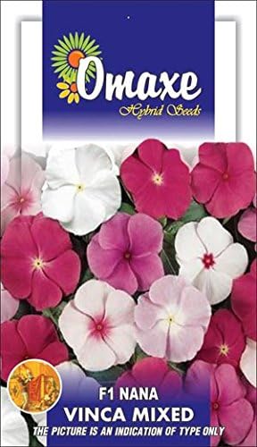 Tradico Super Agri Green Vinca F1 Nana Mixed Summer Flower Seeds-Avg 20/30+ Seeds by Omaxe