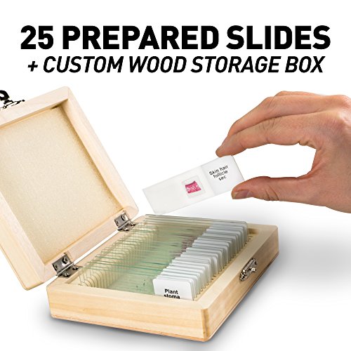 3 GEOGRAPHIC+Professional+Specimens+Microscope+Organization