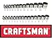 Craftsman Laser Etched Easy Read 28 Piece SAE Standard & Metric 3/8" Drive 12 Point Shallow Socket Set primary