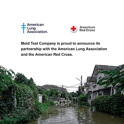 HVAC Mold Test Kit Professional Grade Air Test Kit Easy DIY at Home Kit Lab Analysis