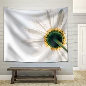 Closeup of Daisy Flower on White Background - Fabric Wall Tapestry Home Decor - 51x60 inches
