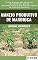 Livro Produção de Mandioca: Obtendo alta produtividade.
