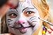 Face Painting Kit- Safe Non Toxic 12 Vibrant Color Palette . Professional Quality Face & Body Paint Kits with 2 brushes and Bonus E-book. Ideal birthday present.!